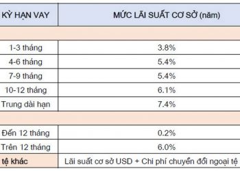 Lãi suất vay tại ngân hàng Sacombank là bao nhiêu?