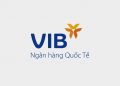Những thành tựu nổi bật của ngân hàng VIB