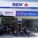 Tổng quan về ngân hàng BIDV