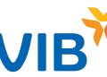 Giới thiệu về ngân hàng VIB