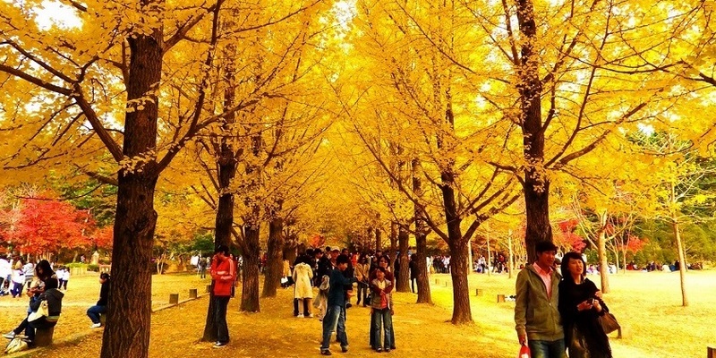 Đảo Nammi thiên đường tình yêu