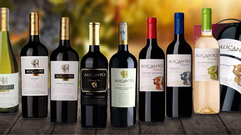 Rượu vang Chile là những chai vang được sản xuất tại quốc gia Chile