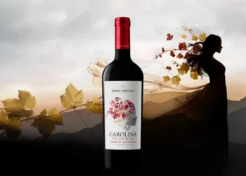 Mua rượu vang Chile nhập khẩu chính hãng với mức giá tốt tại Rượu AK