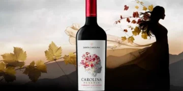 Mua rượu vang Chile nhập khẩu chính hãng với mức giá tốt tại Rượu AK