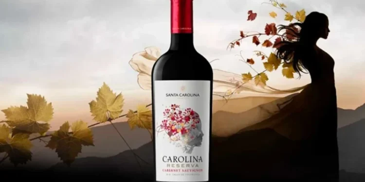 Mua rượu vang Chile nhập khẩu chính hãng với mức giá tốt tại Rượu AK